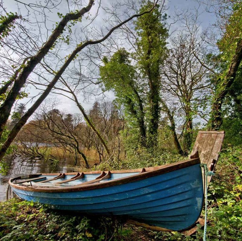 lucky find - vertorama.jpg